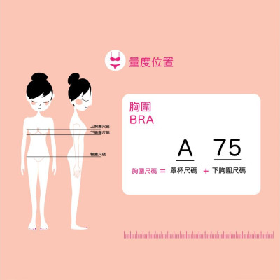 ZB6302 軟鋼圈無縫罩杯胸圍