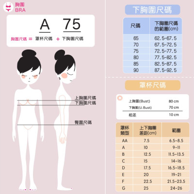 GB5381 軟鋼圈無縫罩杯胸圍