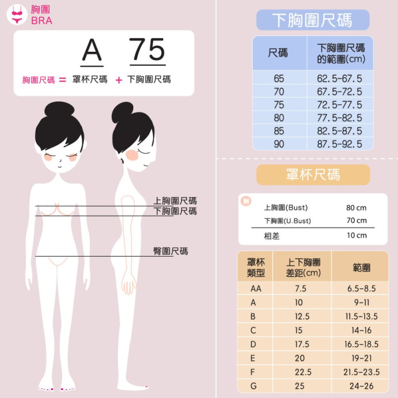 GB5381 軟鋼圈無縫罩杯胸圍